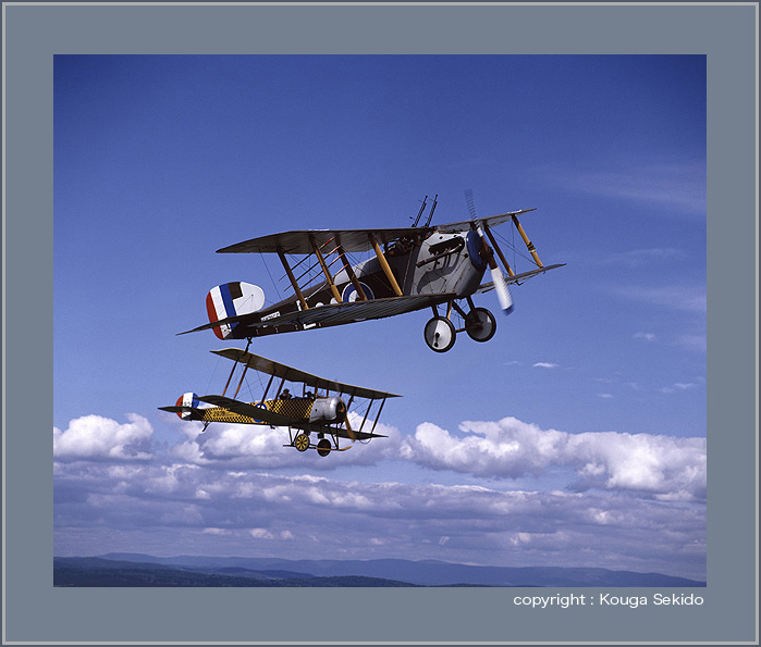 Sopwith Dolphin