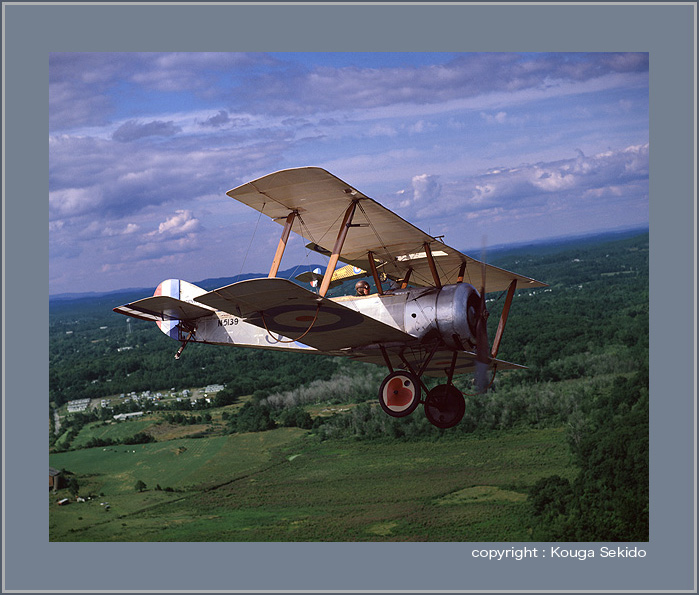 Sopwith Scout