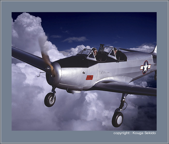 Fairchild PT-19