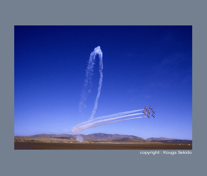 Snowbirds