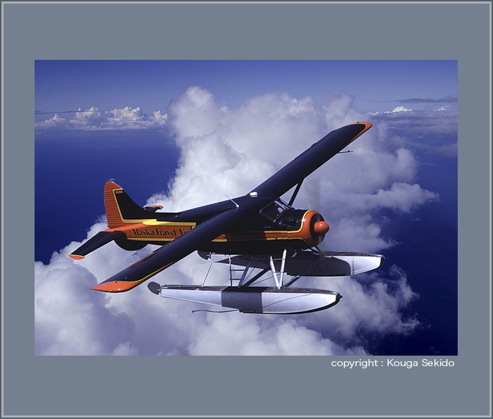 de Havilland Canada DHC-2 Beaver