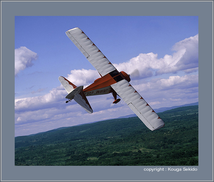 Taylorcraft BF-50